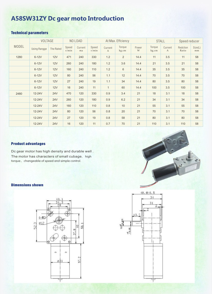 A58SW31ZY_DC gear brush motor