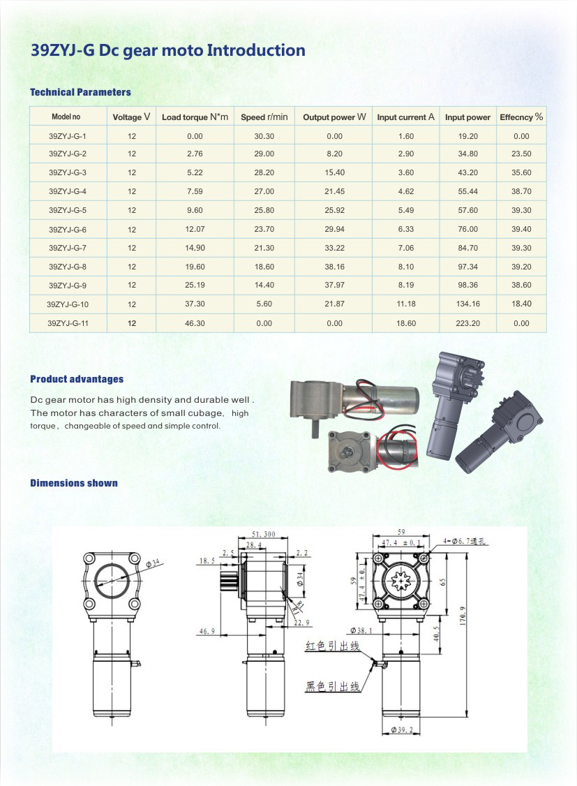 39ZYJ-G_DC Gear motor