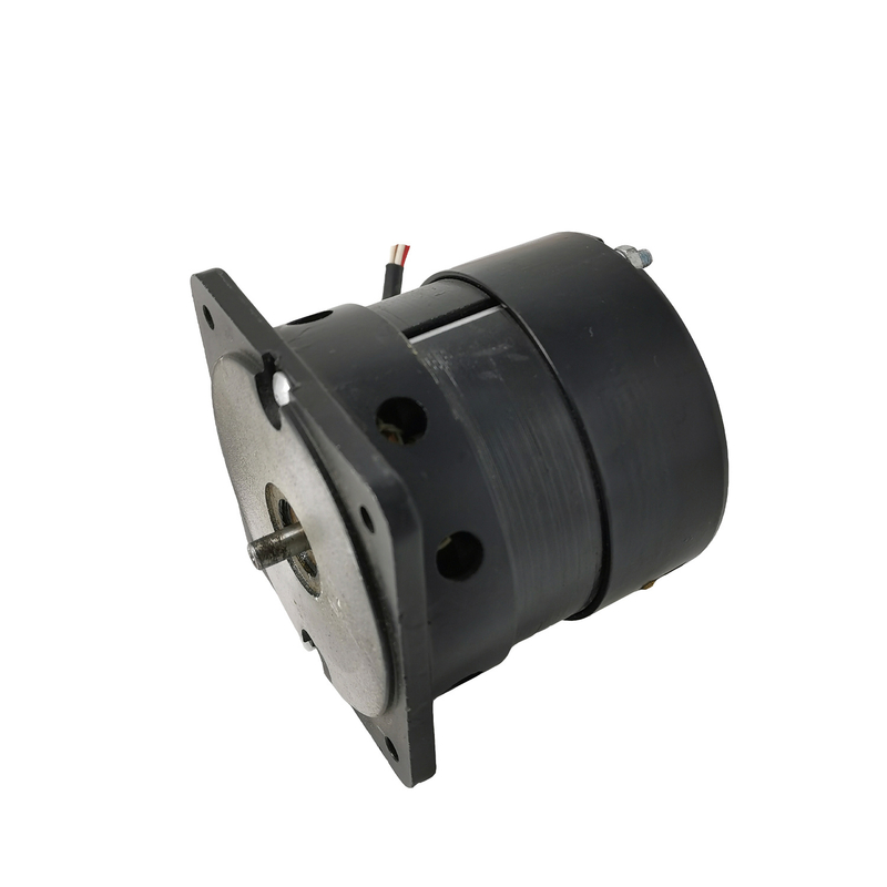 Mini DC Motor 36V DC Gear Motor