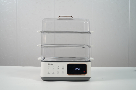 Electric Steamer( Electronic Version)