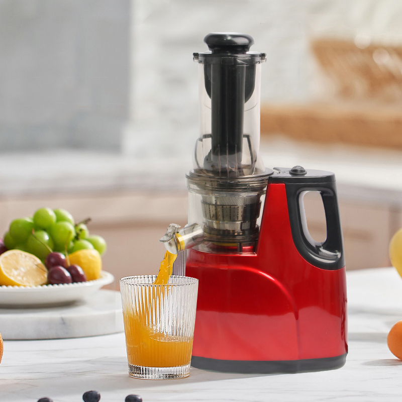 Kitchen Appliances Juicer