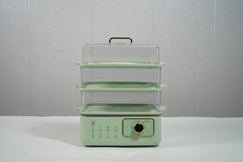Electric Steamer( Mechanical Version)